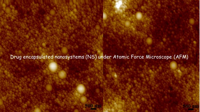 Polyester Nanosystems under AFM
