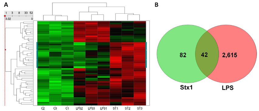 HierarchicalClustering