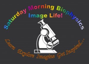 Biophysics Image Life