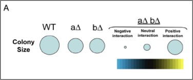 ResearchDiagram1