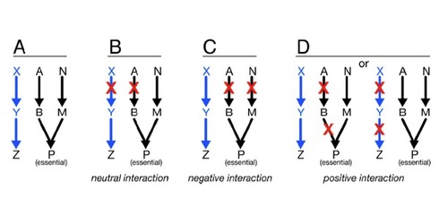 ResearchDiagram2